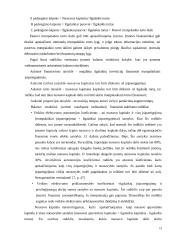 UAB Trakų šilumos tinklai veiklos efektyvumo įvertinimas 19 puslapis