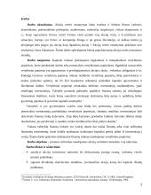 Akcijų vertės nustatymo metodika 2 puslapis