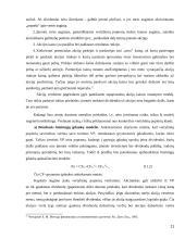 Akcijų vertės nustatymo metodika 11 puslapis