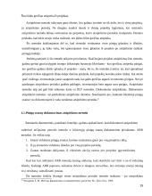 Akcijų vertės nustatymo metodika 15 puslapis