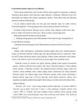 Akcijų vertės nustatymo metodika 17 puslapis