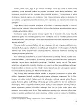 Akcijų vertės nustatymo metodika 20 puslapis