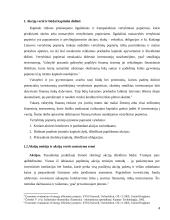 Akcijų vertės nustatymo metodika 4 puslapis