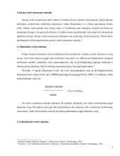 Akcijų vertės nustatymo metodika 7 puslapis