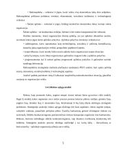 Plėtros galimybių studija: plastikinių langų gamyba UAB "Bodesa" 10 puslapis