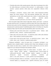 SP UAB “Trakų šilumos tinklai” veiklos efektyvumo vertinimas 12 puslapis