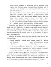 SP UAB “Trakų šilumos tinklai” veiklos efektyvumo vertinimas 13 puslapis