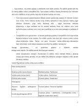 SP UAB “Trakų šilumos tinklai” veiklos efektyvumo vertinimas 17 puslapis