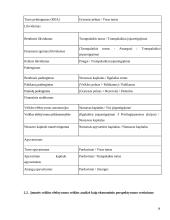 SP UAB “Trakų šilumos tinklai” veiklos efektyvumo vertinimas 18 puslapis