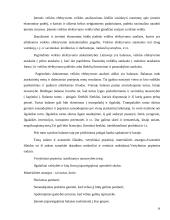 SP UAB “Trakų šilumos tinklai” veiklos efektyvumo vertinimas 19 puslapis