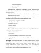 SP UAB “Trakų šilumos tinklai” veiklos efektyvumo vertinimas 20 puslapis