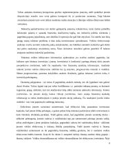 SP UAB “Trakų šilumos tinklai” veiklos efektyvumo vertinimas 10 puslapis