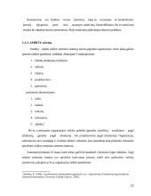 Įmonių veiklos vertinimas subalansuotais rodikliais metodas ir jo probleminiai aspektai 12 puslapis