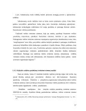 Įmonių veiklos vertinimas subalansuotais rodikliais metodas ir jo probleminiai aspektai 17 puslapis