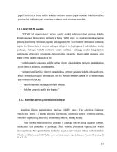 Įmonių veiklos vertinimas subalansuotais rodikliais metodas ir jo probleminiai aspektai 18 puslapis