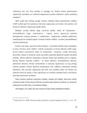 Įmonių veiklos vertinimas subalansuotais rodikliais metodas ir jo probleminiai aspektai 19 puslapis