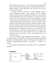 Langų sandarinimo įmonė. Verslo planas 15 puslapis