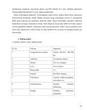 Restorano UAB "Arula" veiklos analizė 12 puslapis