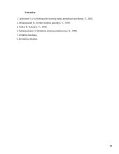 Restorano UAB "Arula" veiklos analizė 19 puslapis