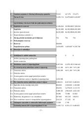 Atsiskaitymų apskaita 11 puslapis