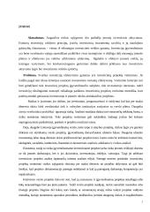 UAB „Mortanis“ investicijų planavimas 2 puslapis