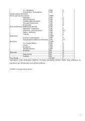 UAB „Mortanis“ investicijų planavimas 12 puslapis