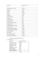 UAB „Mortanis“ investicijų planavimas 13 puslapis