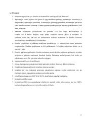 UAB „Mortanis“ investicijų planavimas 17 puslapis