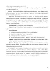 UAB „Mortanis“ investicijų planavimas 3 puslapis