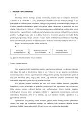 UAB „Mortanis“ investicijų planavimas 4 puslapis