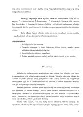 Infliacijos problemos kursinis 2 puslapis