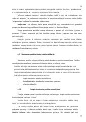 Infliacijos problemos kursinis 12 puslapis