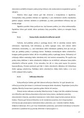 Infliacijos problemos kursinis 13 puslapis