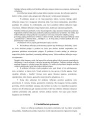 Infliacijos problemos kursinis 17 puslapis