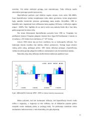 Infliacijos problemos kursinis 7 puslapis