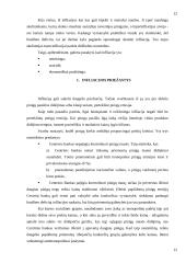 Infliacijos problemos kursinis 8 puslapis