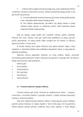 Infliacijos problemos kursinis 9 puslapis