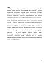 Inovacinio projekto samprata 2 puslapis