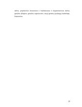 Inovacinio projekto samprata 13 puslapis