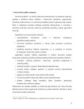 Inovacinio projekto samprata 3 puslapis