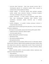 Inovacinio projekto samprata 6 puslapis