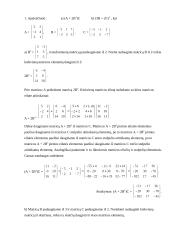 Matricos taikomojoje matematikoje 2 puslapis