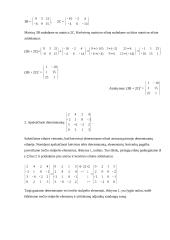 Matricos taikomojoje matematikoje 3 puslapis