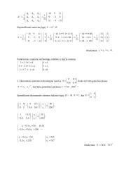 Matricos taikomojoje matematikoje 8 puslapis