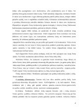 Kartelinio susitarimo reikšmė didinant pelną 4 puslapis