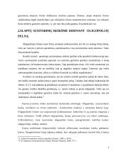 Kartelinio susitarimo reikšmė didinant pelną 7 puslapis