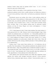 Kartelinio susitarimo reikšmė didinant pelną 8 puslapis