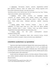 Kartelinio susitarimo reikšmė didinant pelną 10 puslapis