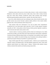 Kokybiško ir konkurencingo gaminio kūrimas 2 puslapis