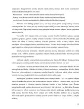 Kokybiško ir konkurencingo gaminio kūrimas 12 puslapis